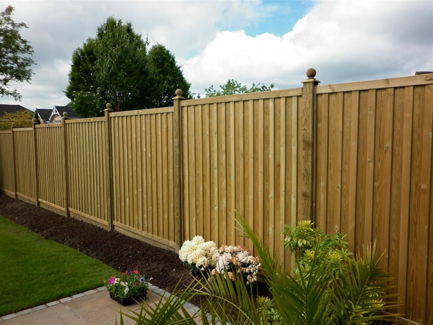 Forest Fencing