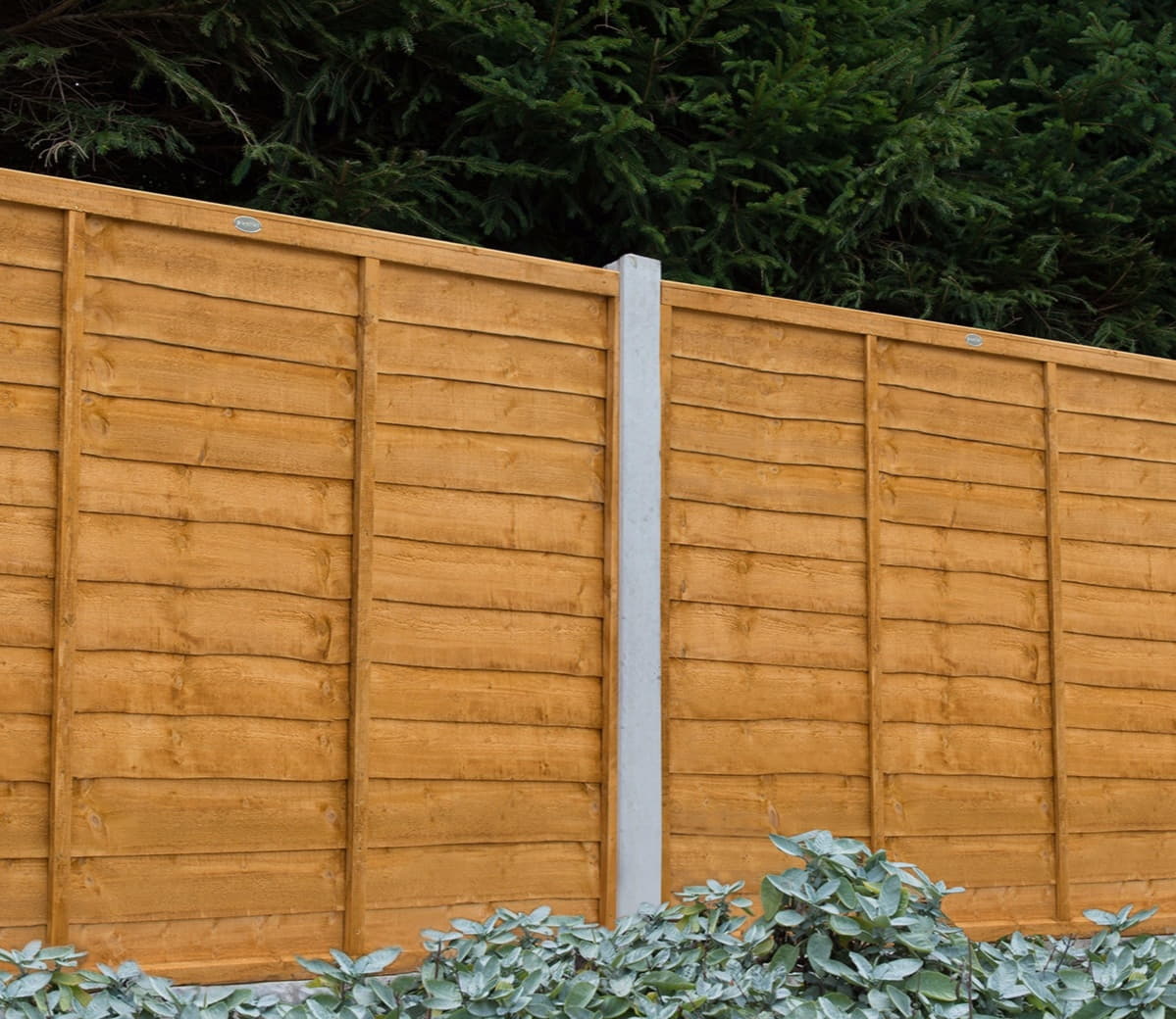 Fencing Services in Redhill Forest Fencing